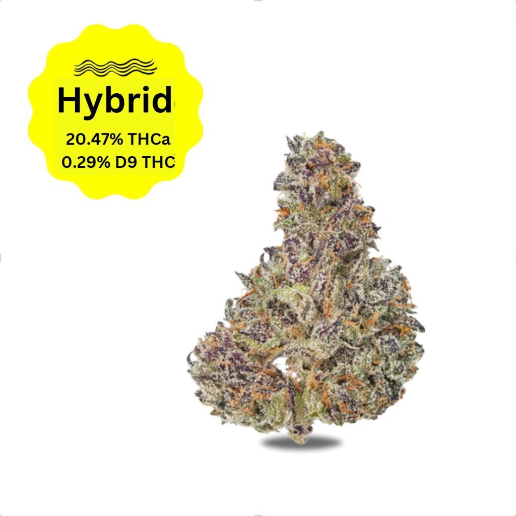 ATLRx Black Truffle Hybrid THCa Flower